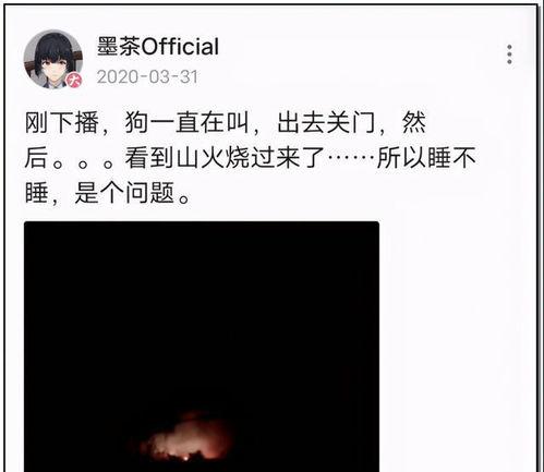 娱乐圈吃瓜大集合txt,揭秘“吃瓜大集合”txt背后的精彩故事